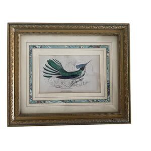 Stokes Hummingbird Print | Plate 5 by William Jardine | Framed 9.5x11.5 inch